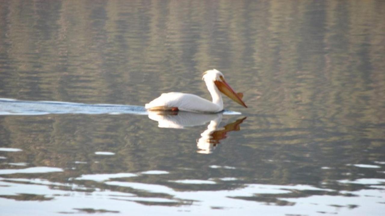 Fawnskin Feathernest On The Lake 빌라 외부 사진